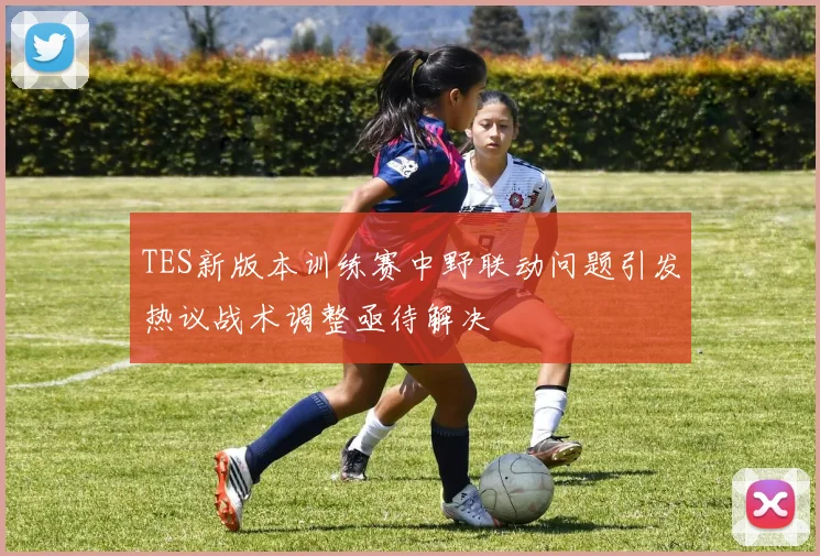 TES新版本训练赛中野联动问题引发热议战术调整亟待解决
