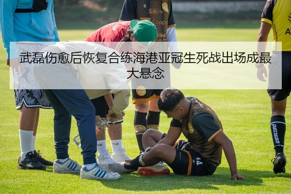 武磊伤愈后恢复合练海港亚冠生死战出场成最大悬念